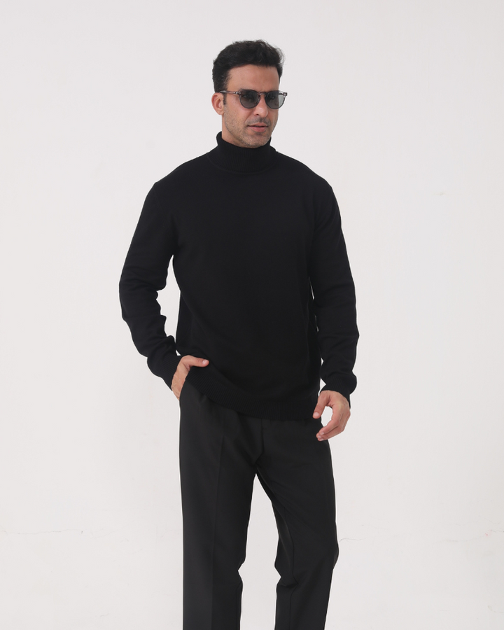 Pull homme à col roulé, maille unie, manches longues - Aldren