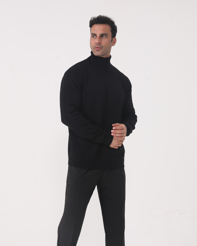 Pull homme à col roulé, maille unie, manches longues - Aldren