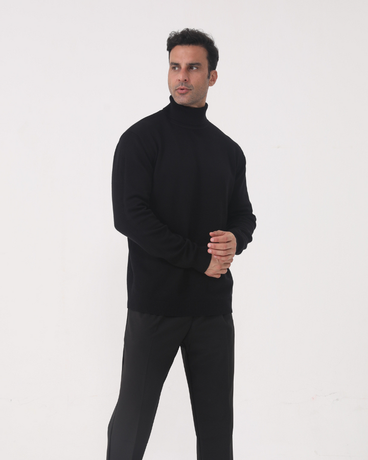 Pull homme à col roulé, maille unie, manches longues - Aldren