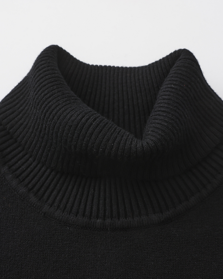 Pull homme à col roulé, maille unie, manches longues - Aldren
