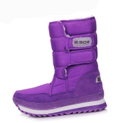 Purpura