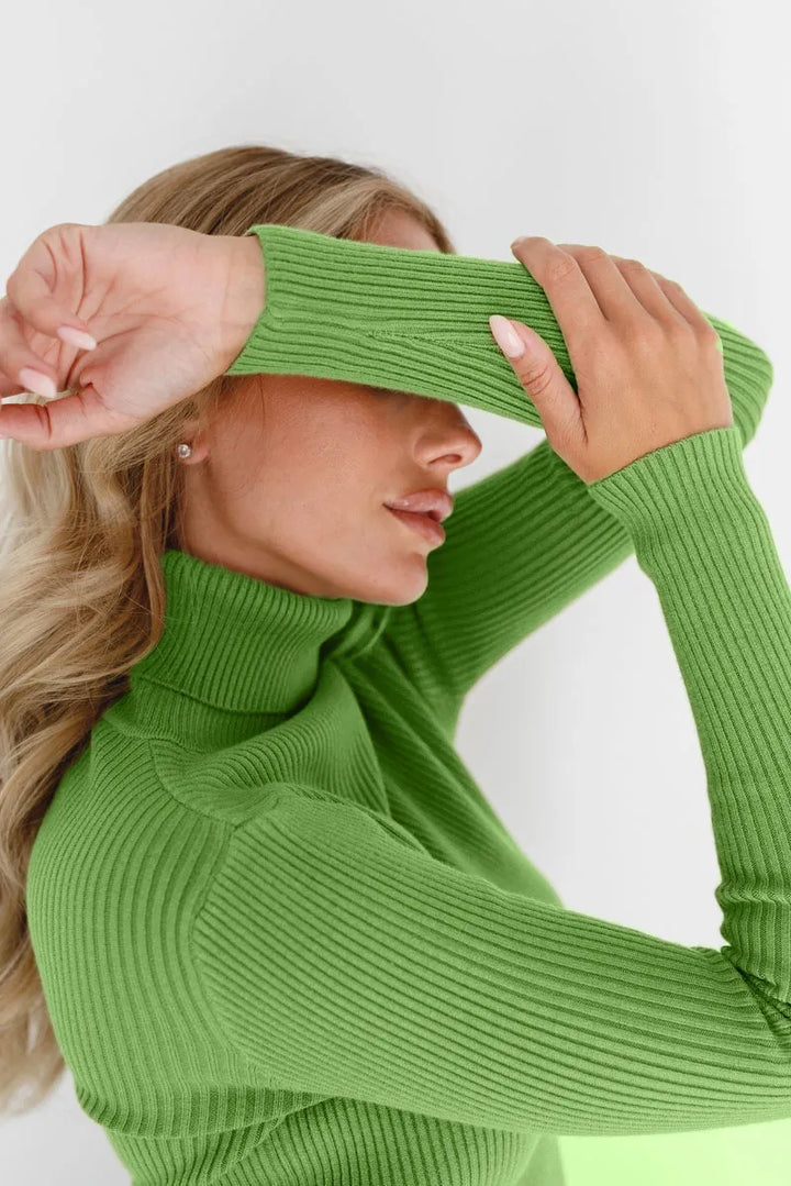 Pull femme col roulé en maille côtelée ajustée - Nélida