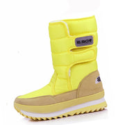 Jaune