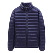 Bleu marine