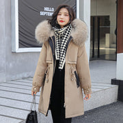 Kaki
