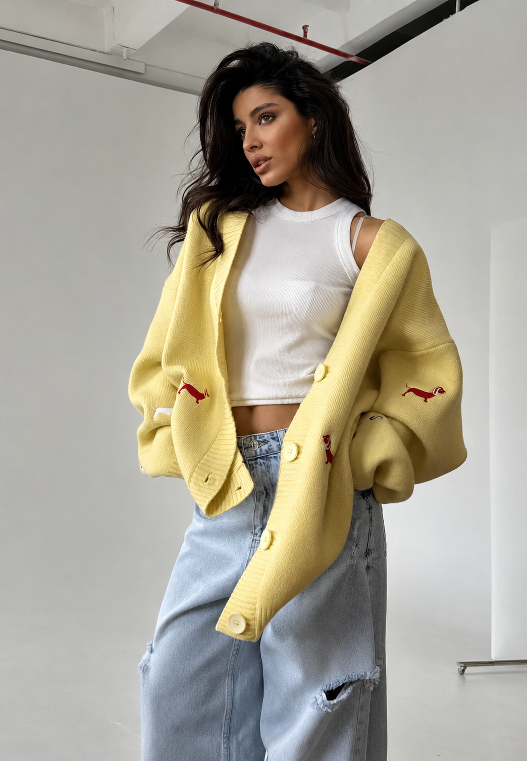 Cardigan femme oversize à col en V et boutons, motif teckel - Marlis