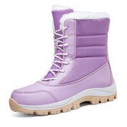 Purpura