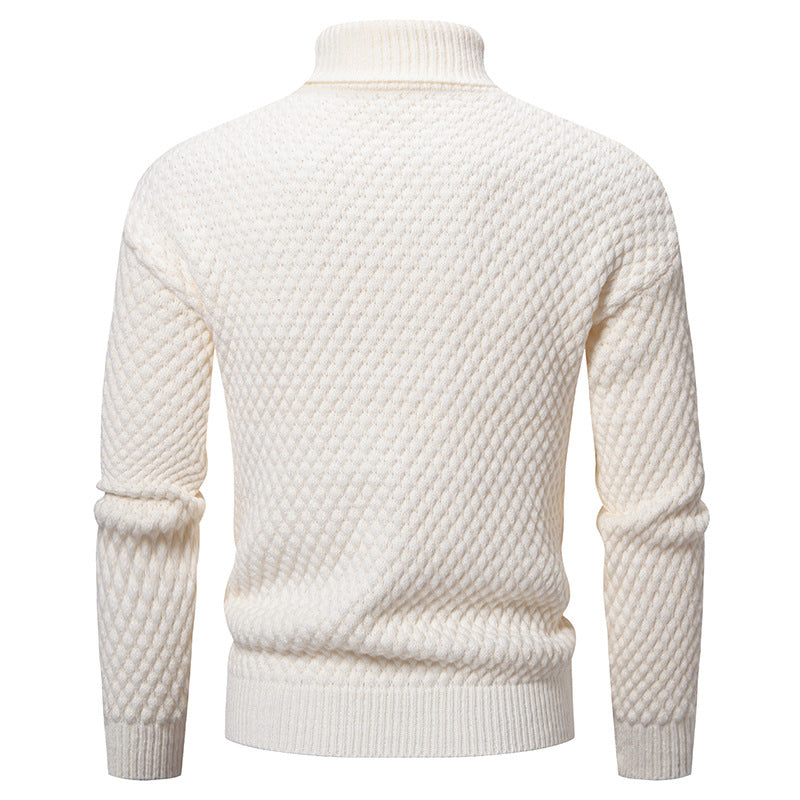 Pull à col roulé pour hommes - Darnel