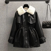 Noir