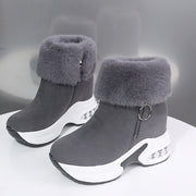 Gris