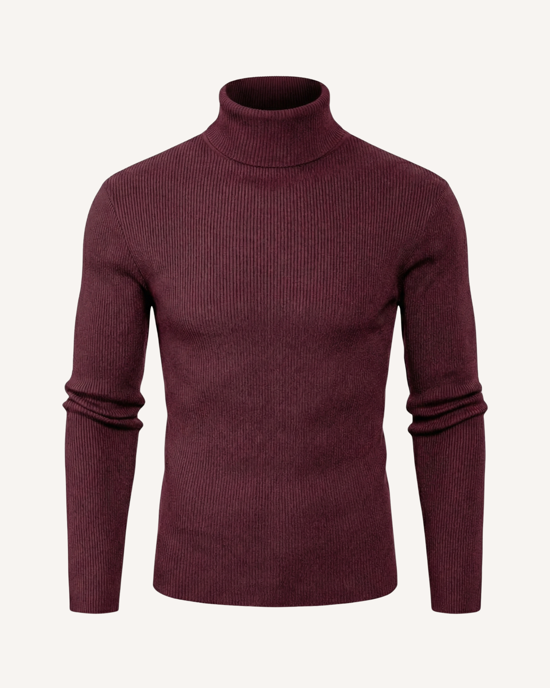 Pull homme à col roulé, en maille côtelée, manches longues - Tadeo